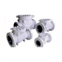 সুইং চেক ভালভ